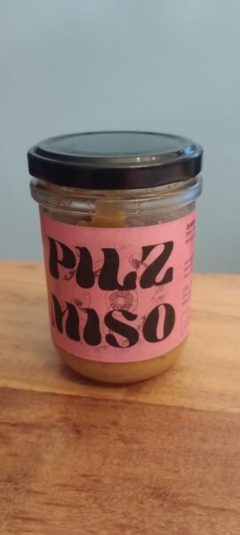 Pilz Miso