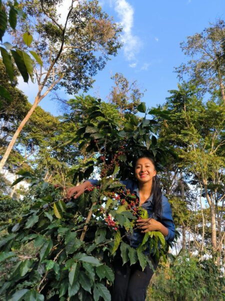 FILTERKAFFEE - Finca Monte Cielo (Single Origin) – Bild 2